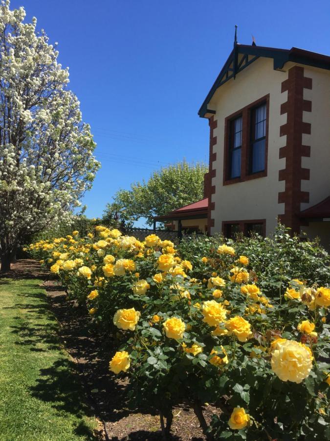 Wine And Roses Bed And Breakfast Adelaide Exteriör bild