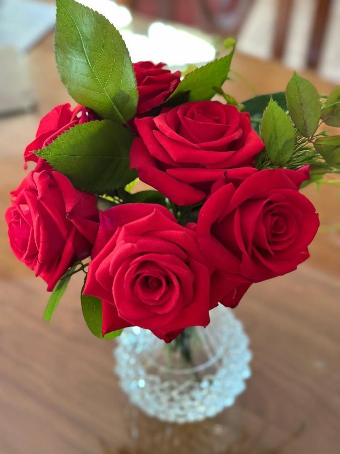 Wine And Roses Bed And Breakfast Adelaide Exteriör bild