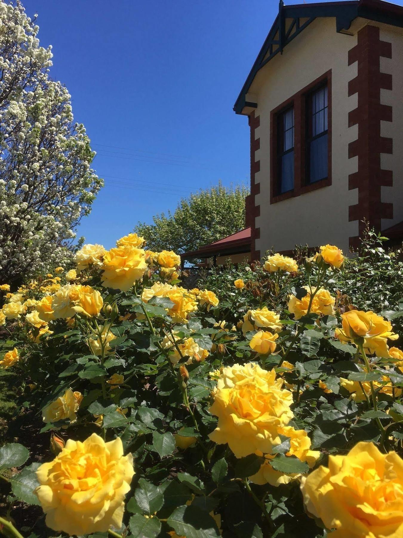 Wine And Roses Bed And Breakfast Adelaide Exteriör bild